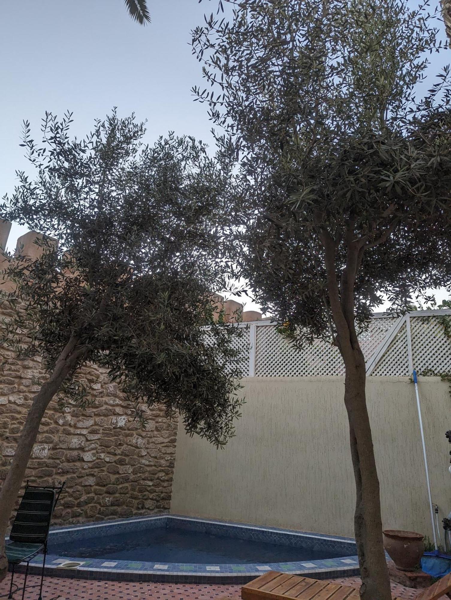 Aghata Palms Riad Ес-Сувейра Екстер'єр фото