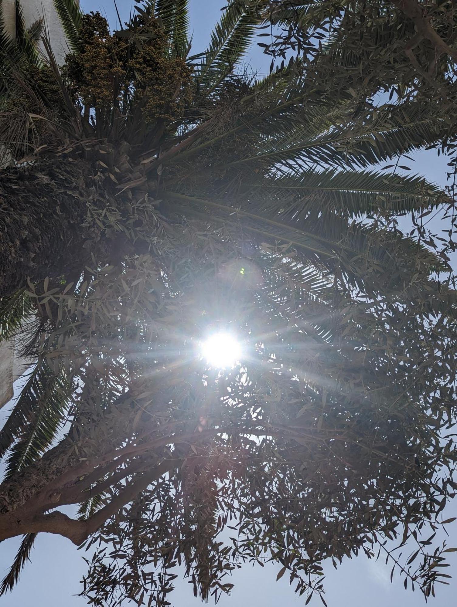 Aghata Palms Riad Ес-Сувейра Екстер'єр фото